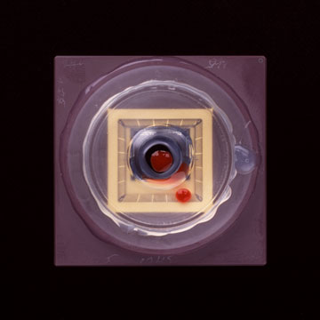 neuroicons