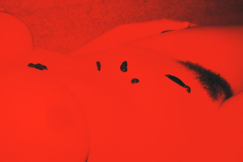 leech, red